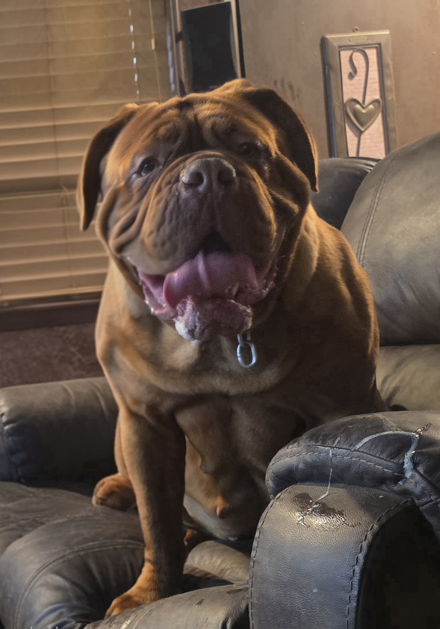 xena on couch